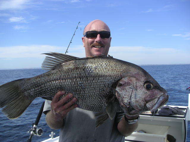 Fridays fruit of the sea Fridays fruit of the sea